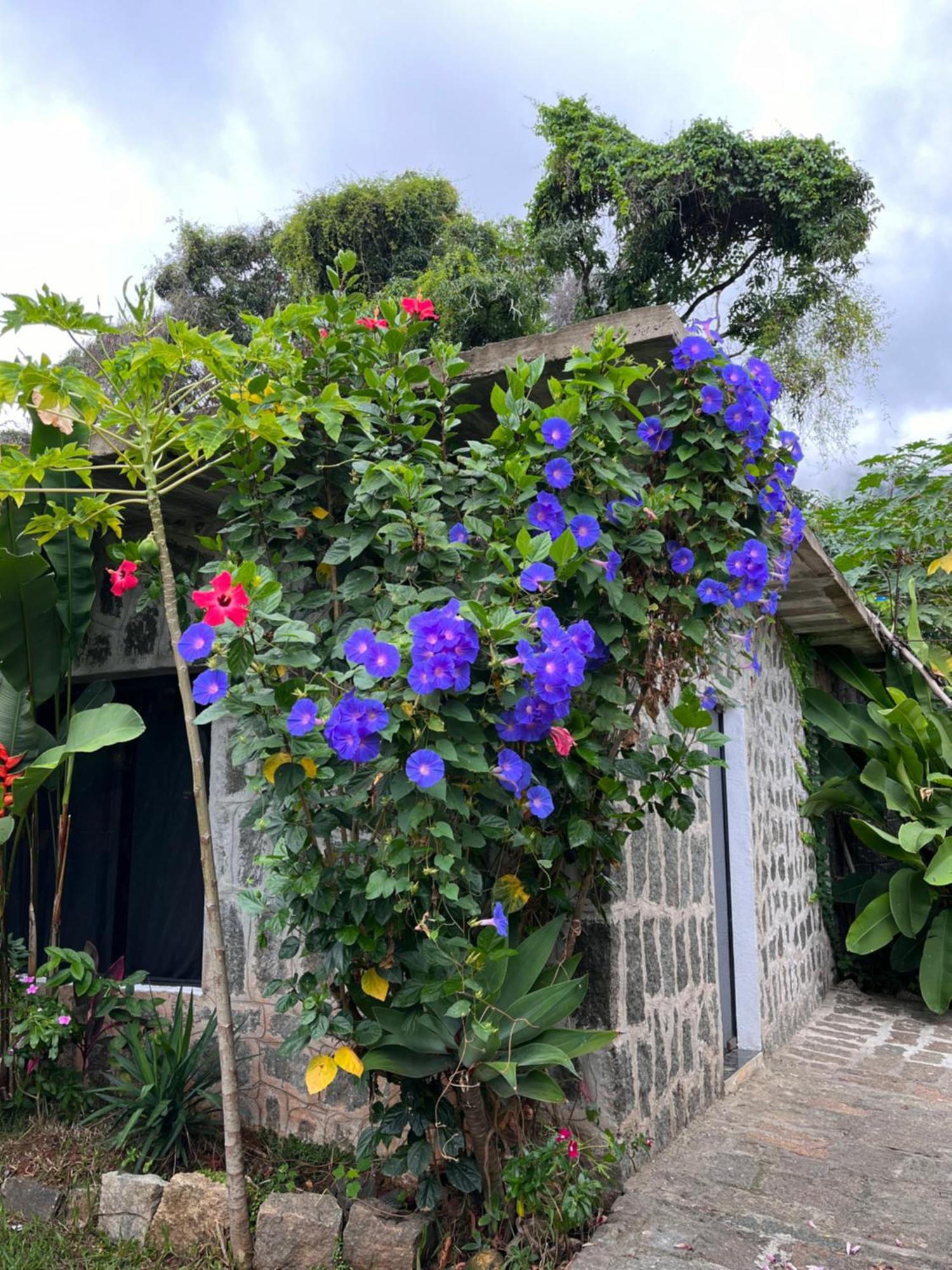 Recanto Das Mangueiras Ilhabela Exterior photo